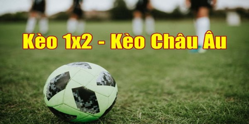 Kèo 1x2 là hình thức cược được nhiều người chơi nhập môn tham dự