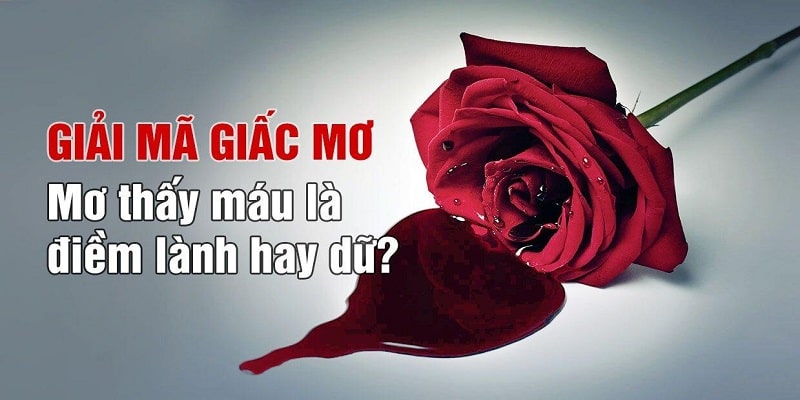 Ý nghĩa mà mọi người nên tìm hiểu thông qua chiêm bao